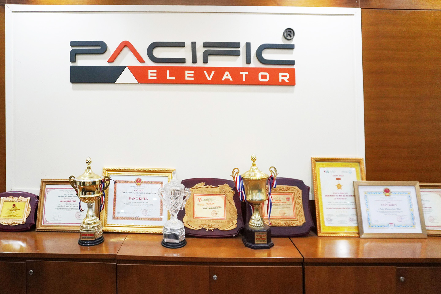 Đạt nhiều danh hiệu trong nhiều năm liền