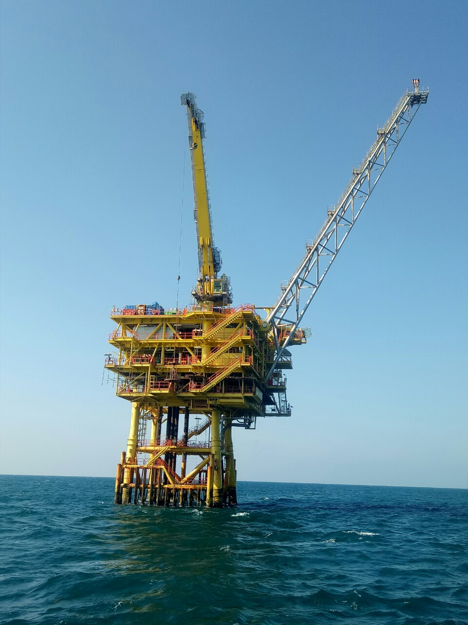 Organizational chart