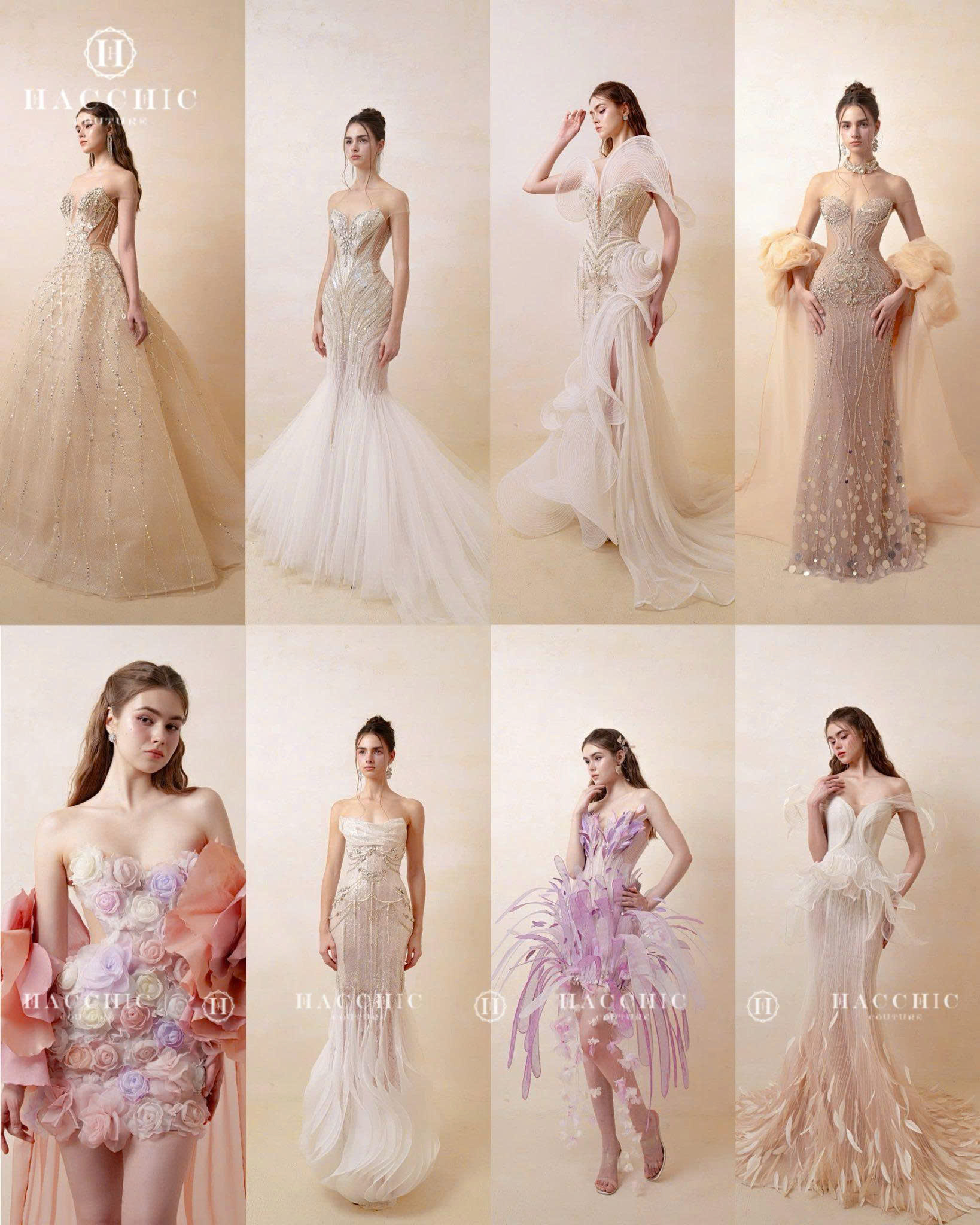 HACCHIC Image Nguyễn Ngọc Toàn image beautiful image beautiful image beautiful image beautiful image beautiful image beautiful - HACCHIC