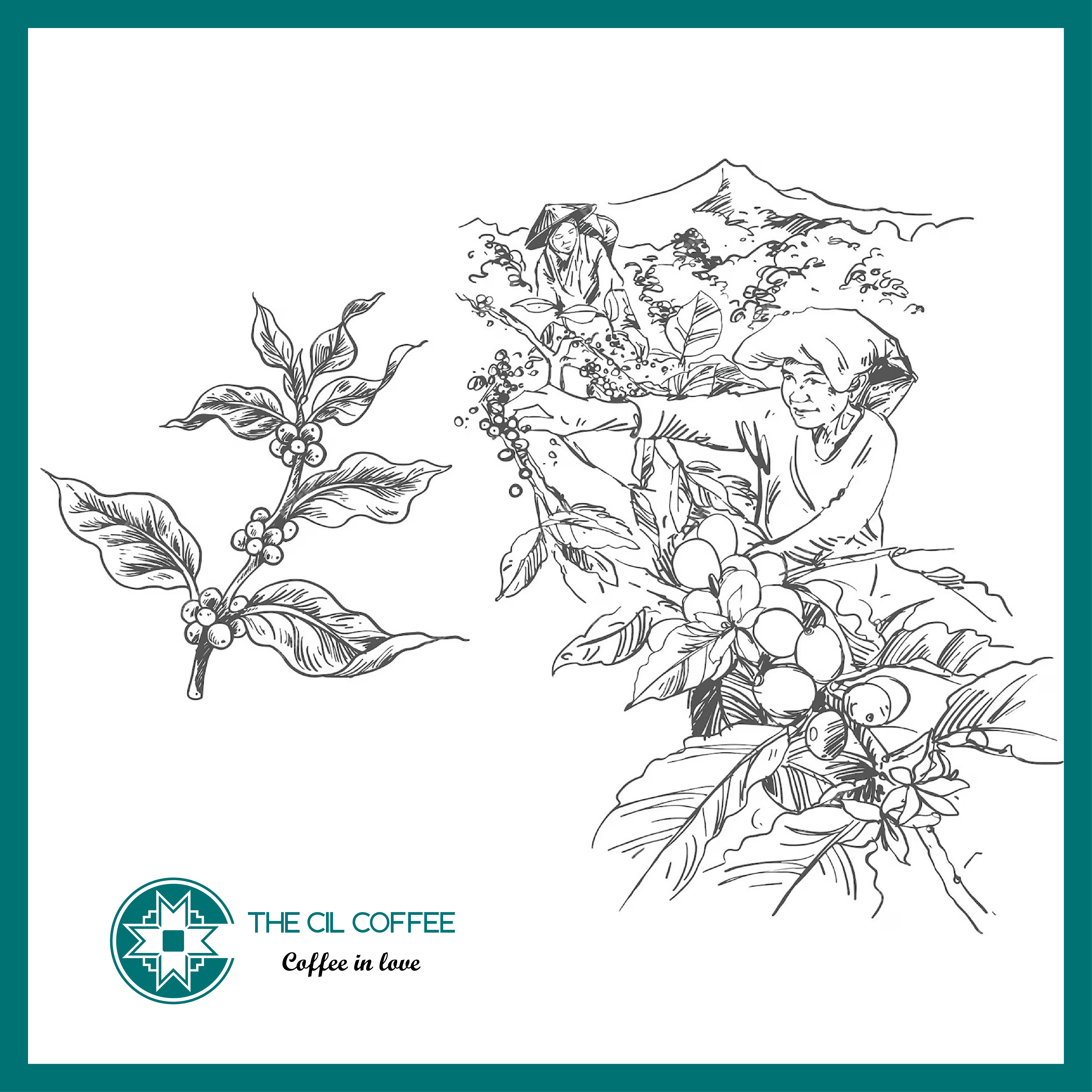 ĐÔI NÉT VỀ THE CIL COFFEE