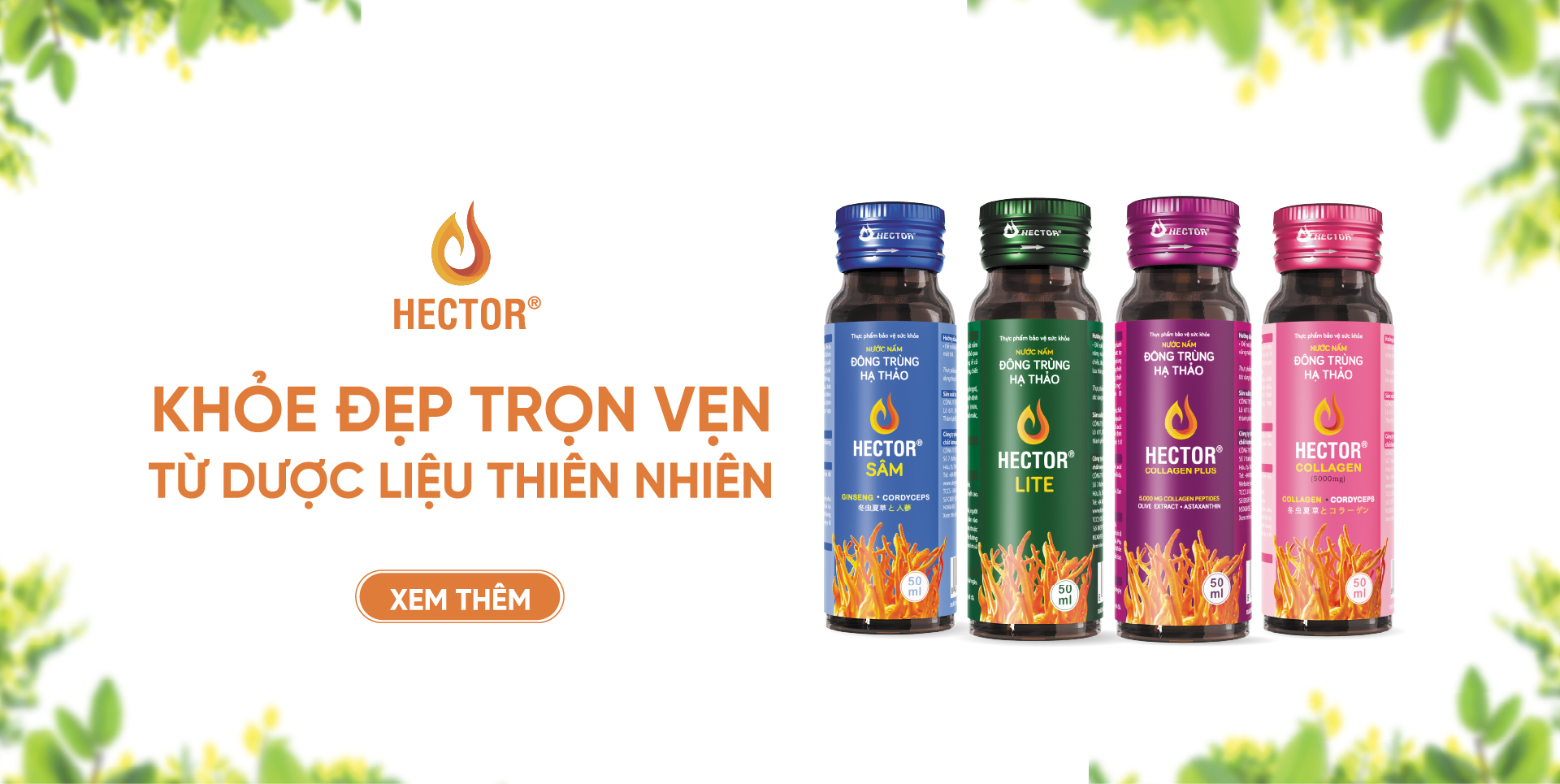 Đông trùng hạ thảo Hector