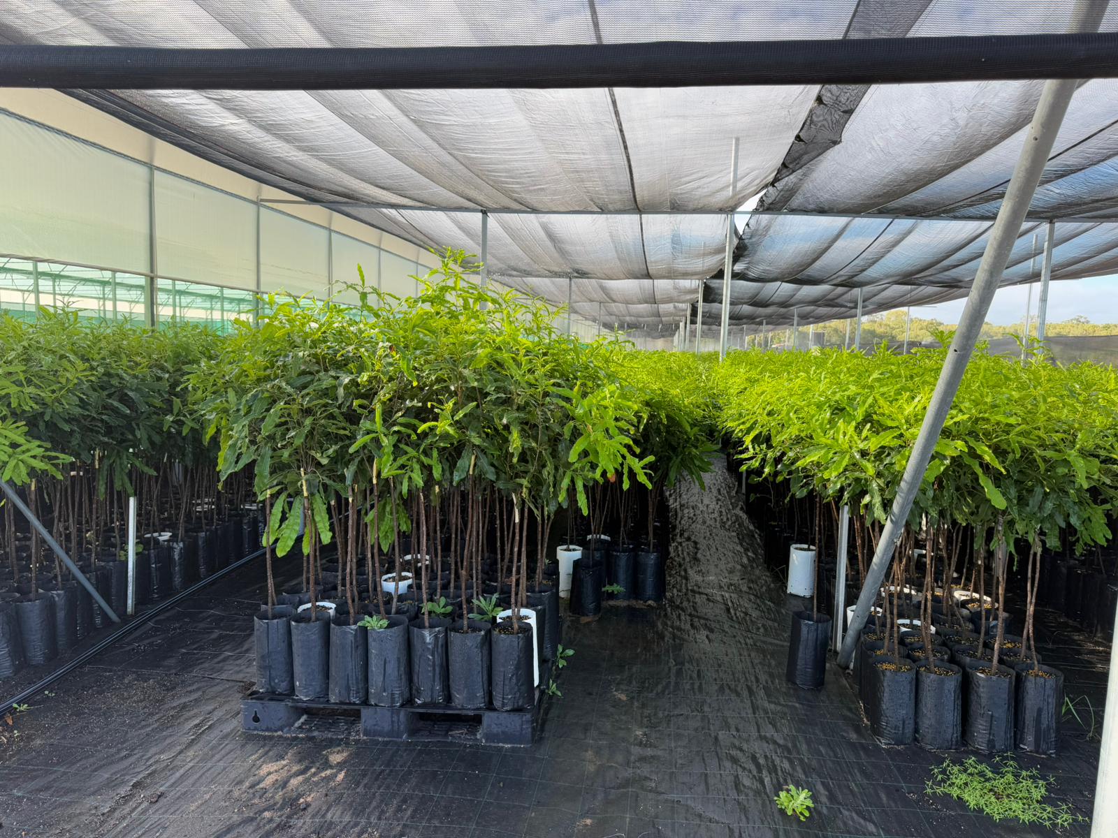 Bring customers the best products and services