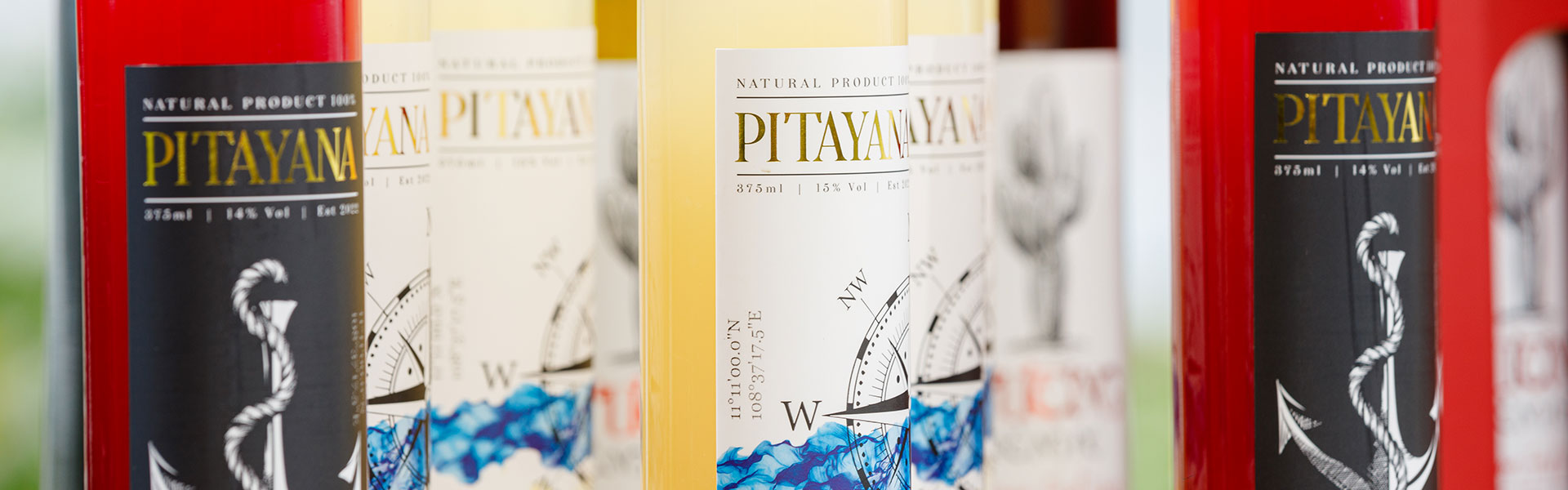 Rượu vang thanh long