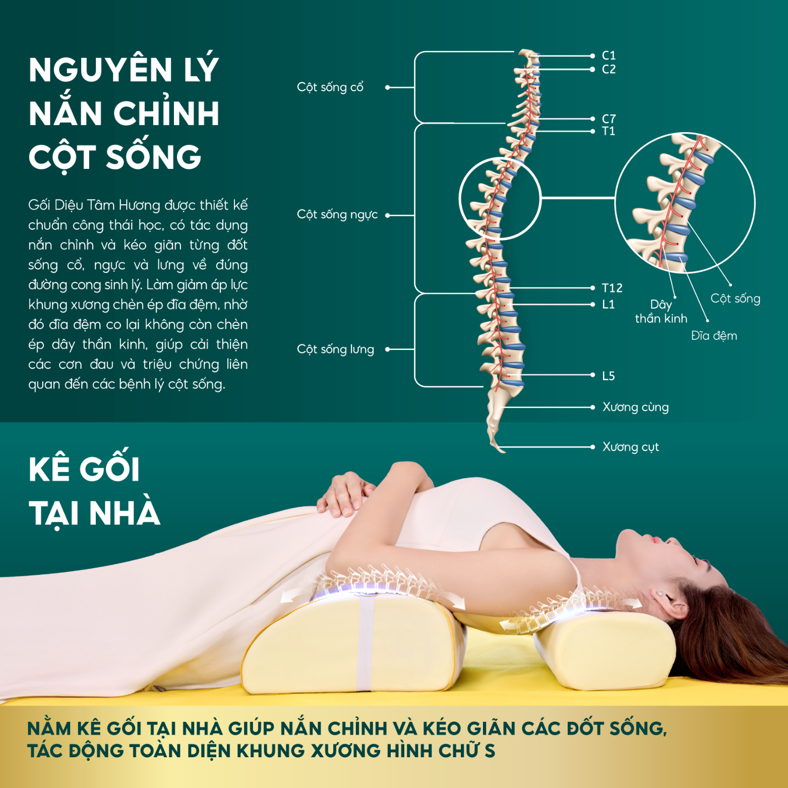 GIẢI PHÁP TỪ DIỆU TÂM HƯƠNG 