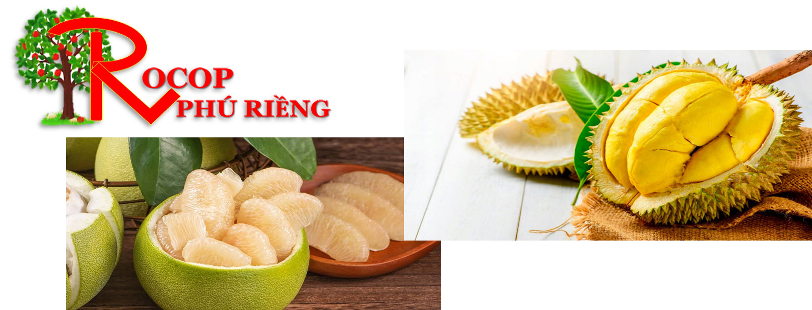 Sản phẩm khuyến mãi