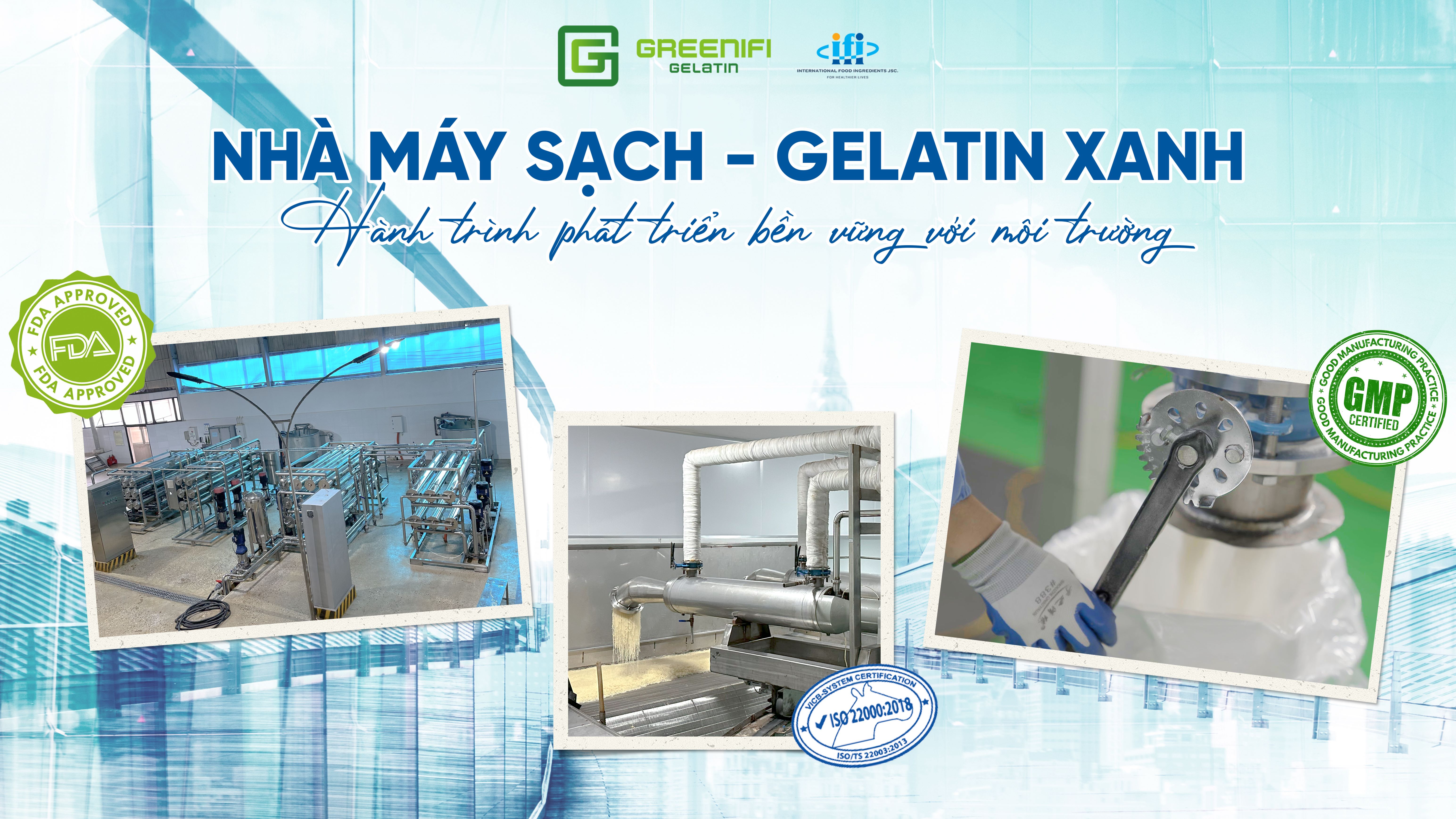 Sứ mệnh - Tầm nhìn - Hoạt động của IFI alt.