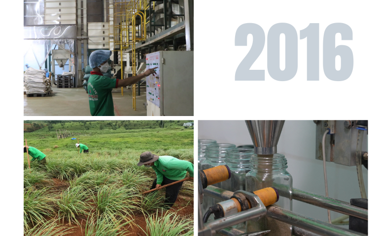 Mở Rộng Vùng Trồng