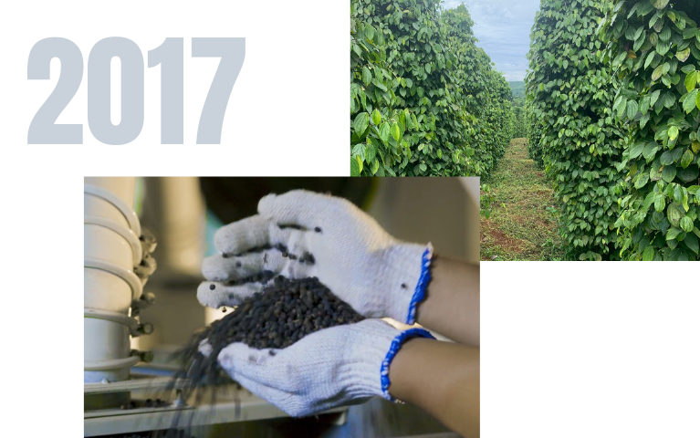 Đạt giải thưởng lớn - Phát triển mạnh mẽ