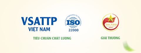 banner top 1