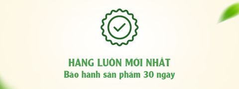 banner top 2