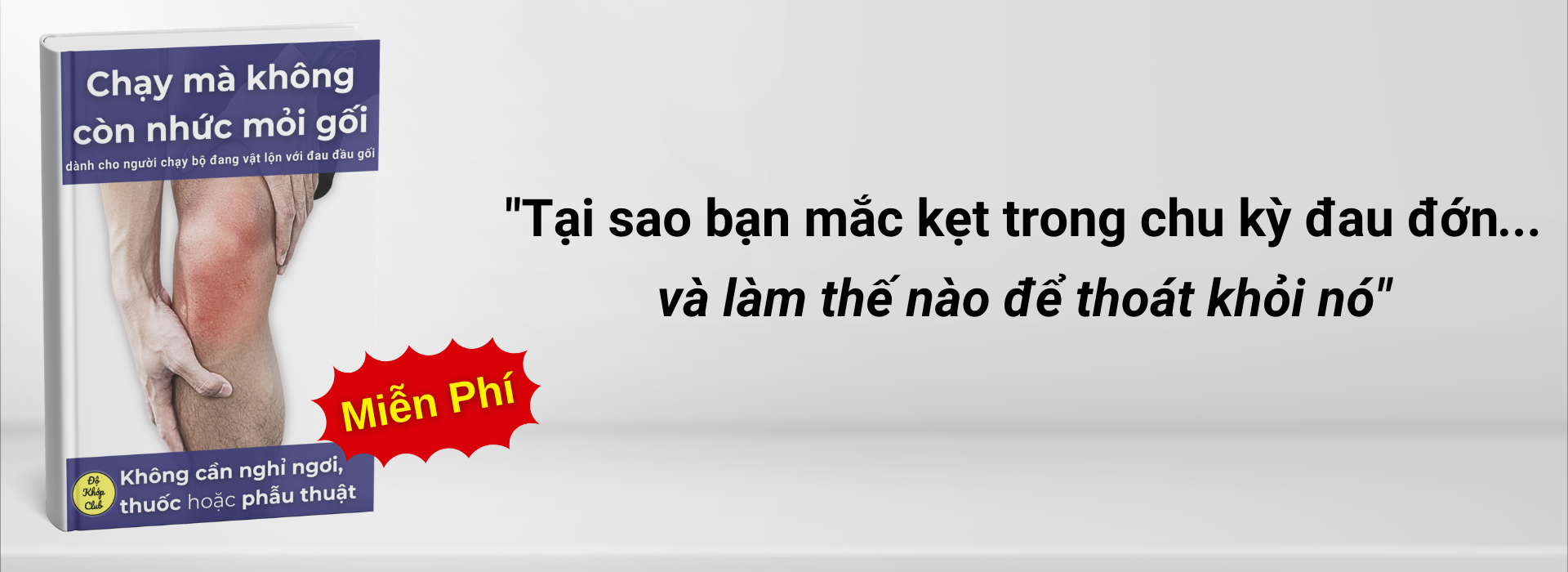 banner full