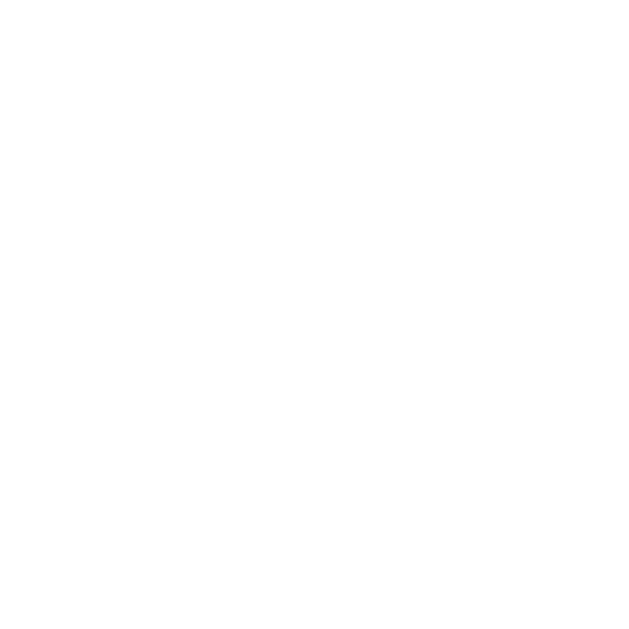 policies_icon_4.png
