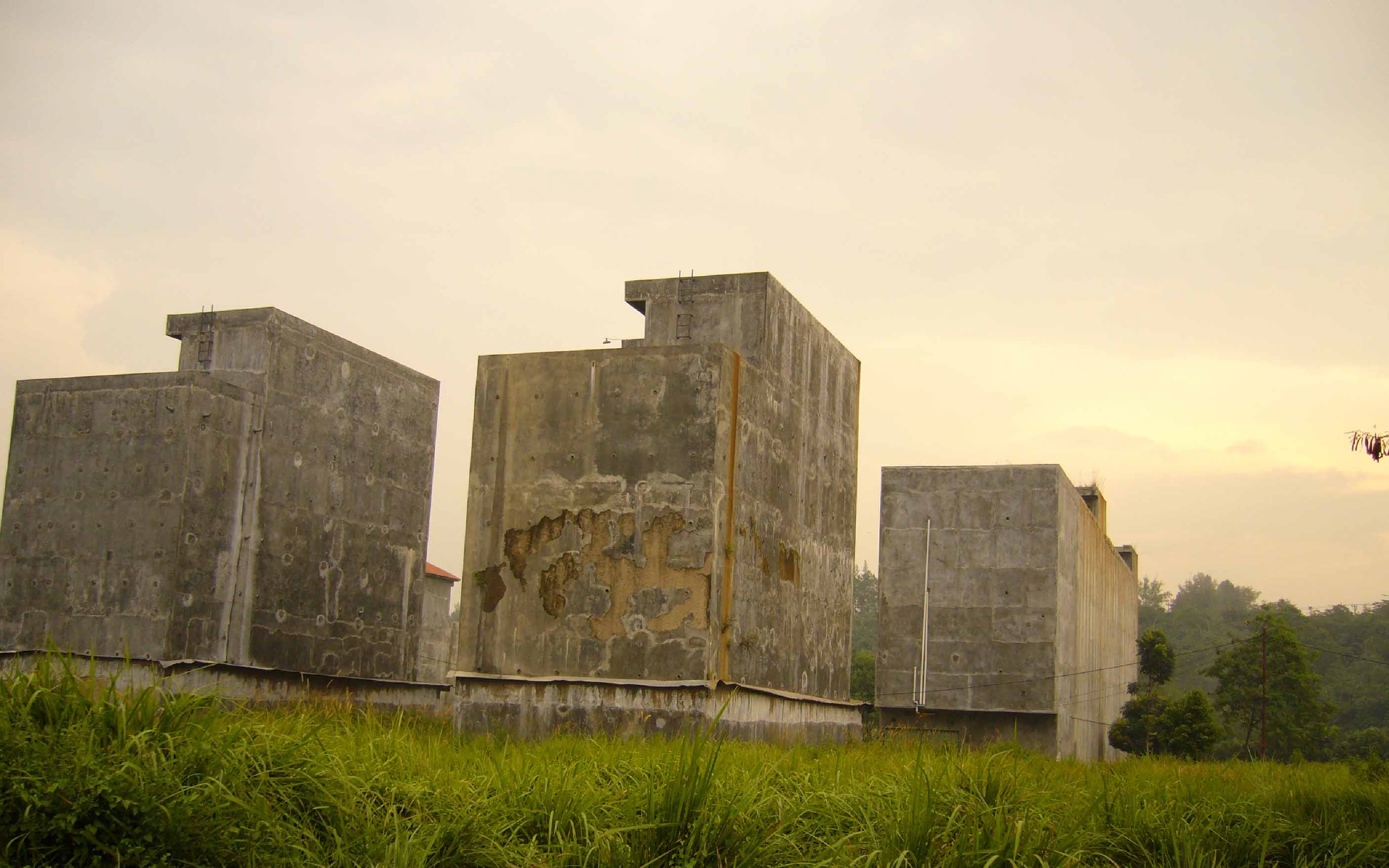 Thành lập công ty