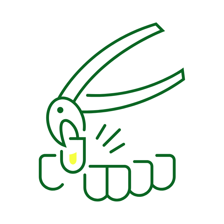 Dụng Cụ Nha Khoa