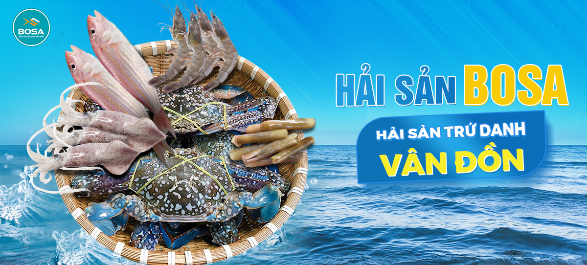 Hai san bosa panda developer team