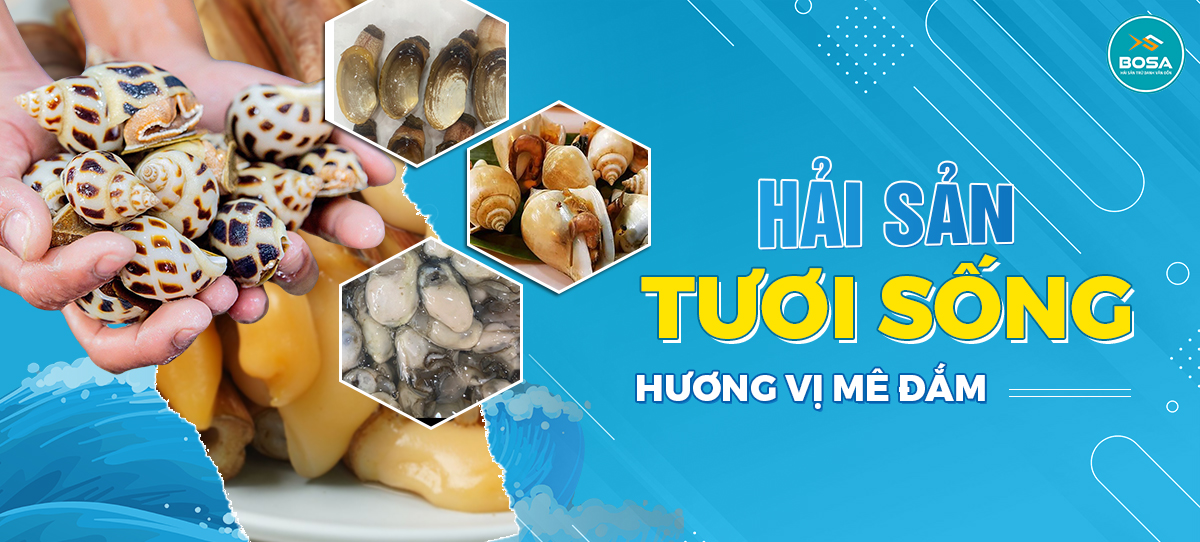  panda developer team