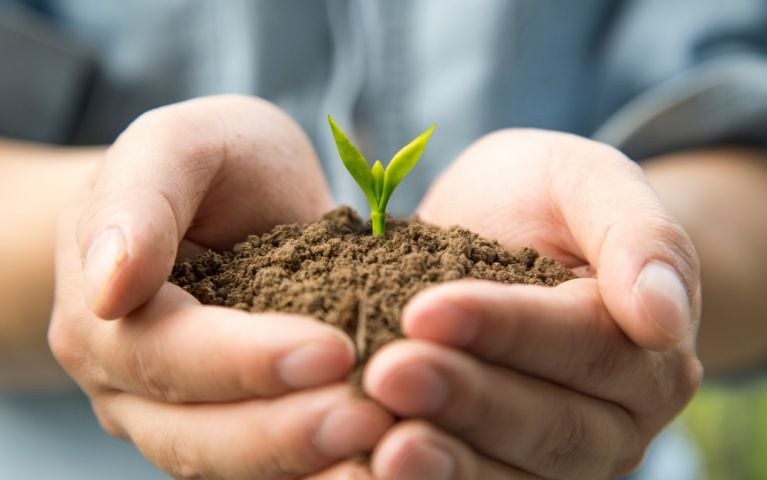 Thành lập VHP Group