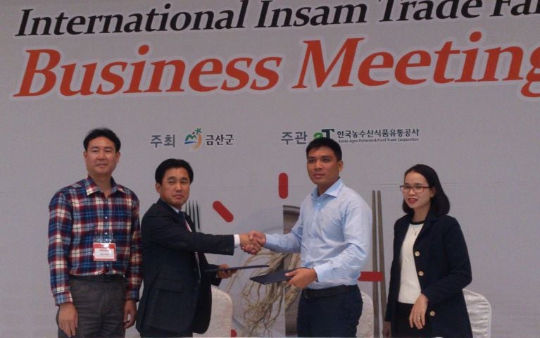 Thành lập VHP Ginseng