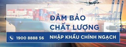 Nhập khẩu chính ngạch đầy đủ giấy tờ