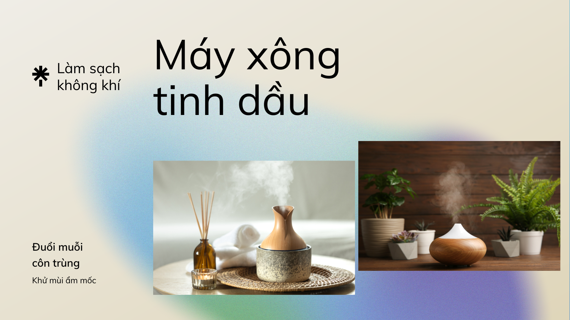 tinh dầu từ thiên nhiên