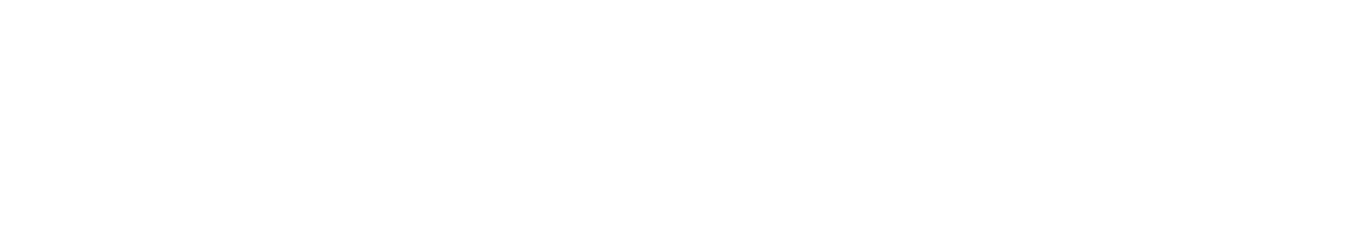 LACOSTE VIỆT NAM