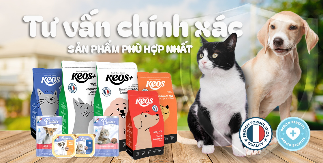 Tư vấn tận tâm