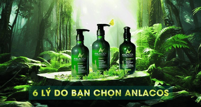 banner_coll_1_1_title