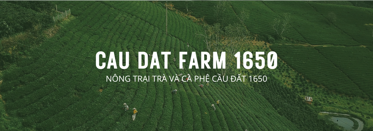 Ảnh banner