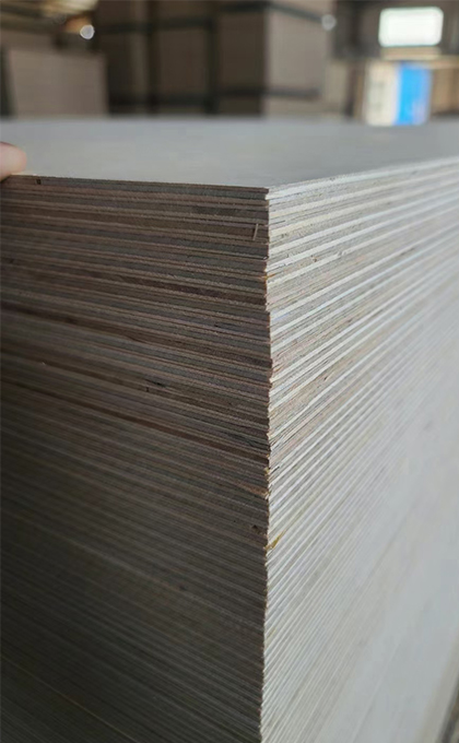 settings[project_title]