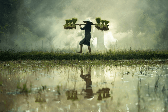 Giá trị cốt lõi