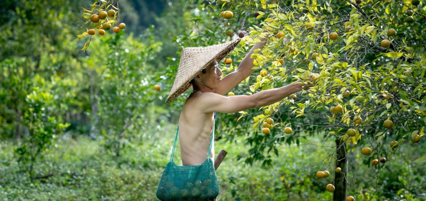 Lợi thế cạnh tranh