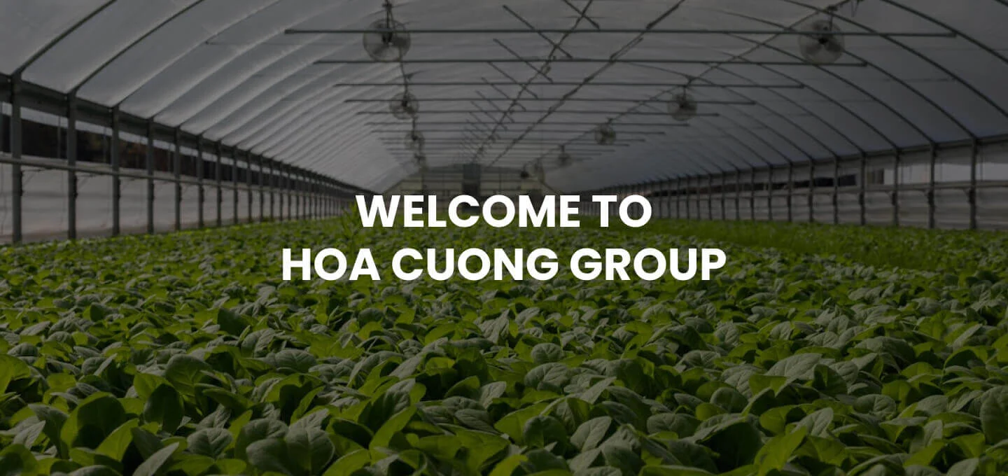 Hoa Cương Group