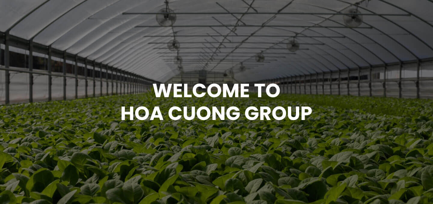Hoa Cương Group