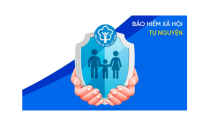Bảo hiểm Xã hội Tự Nguyện
