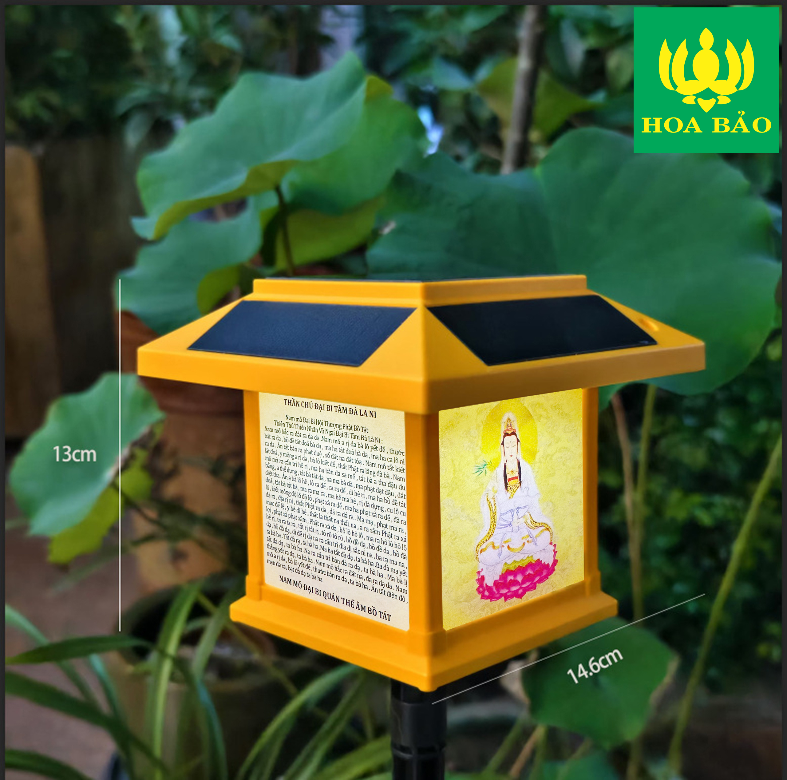 Sản phẩm khuyến mãi