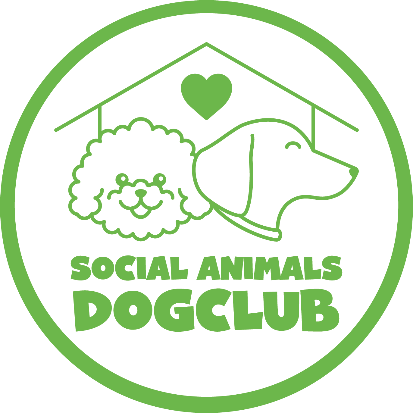socialanimalsdogclub