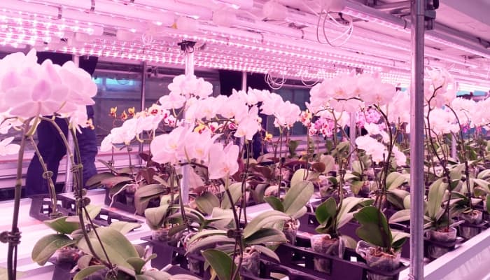 CAM KẾT CHẤT LƯỢNG