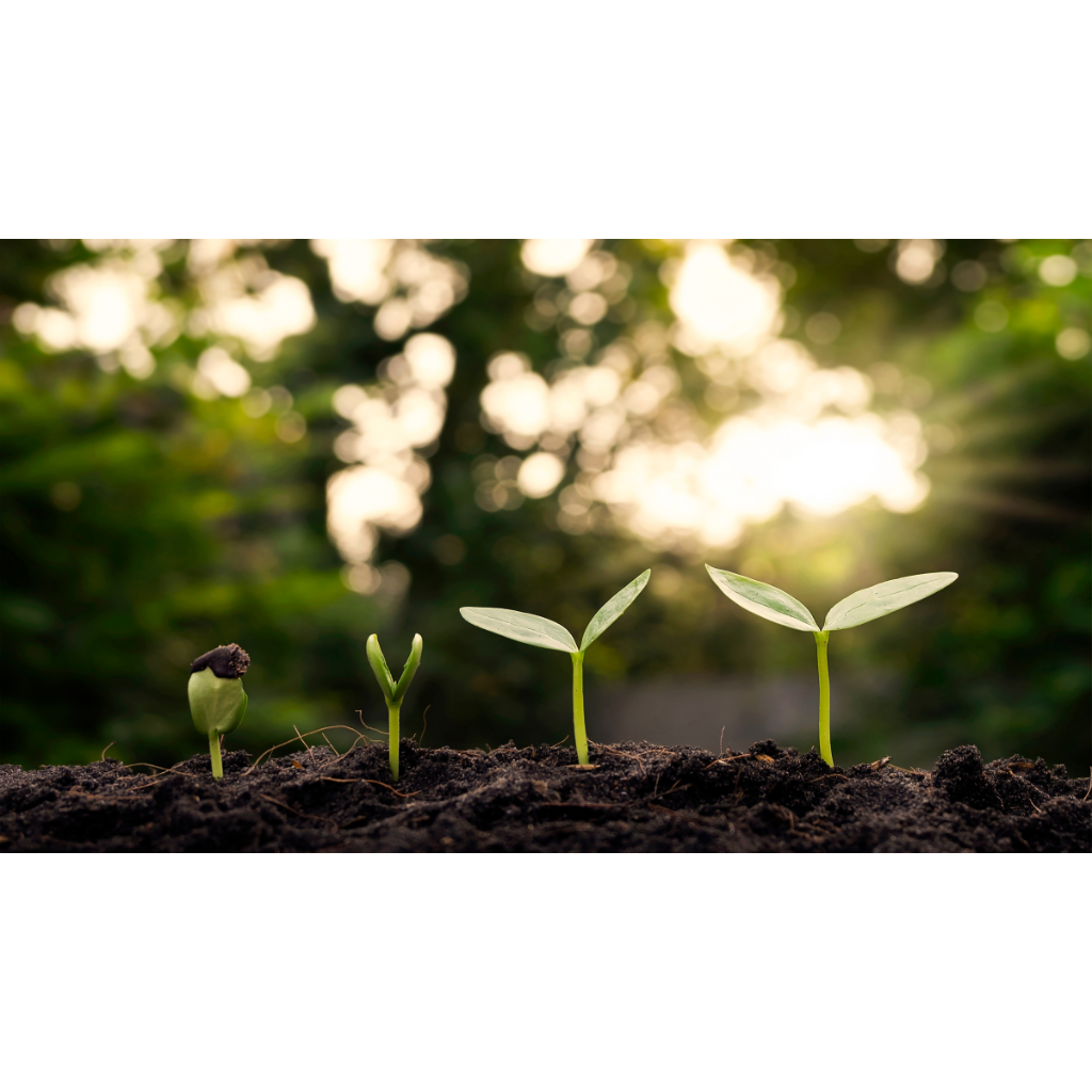 HỢP TÁC PHÁT TRIỂN