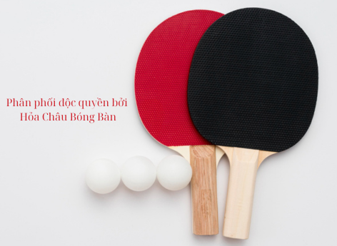Cốt vợt