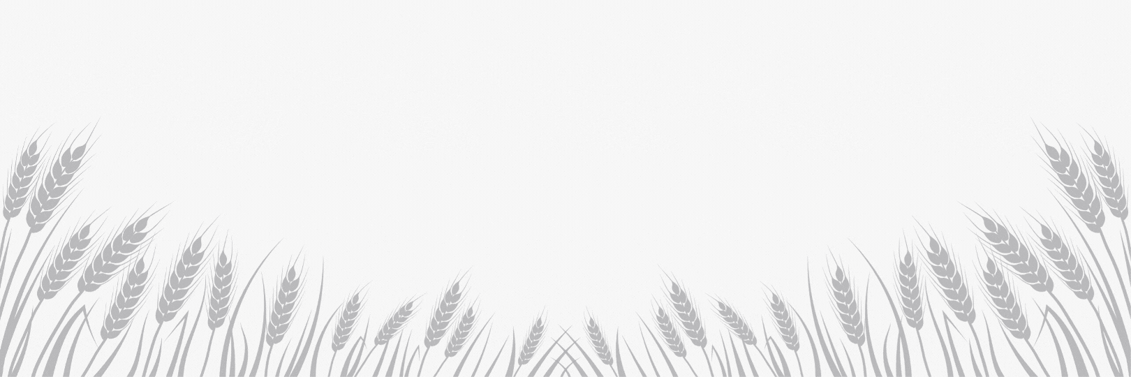 imgtext_img_bg