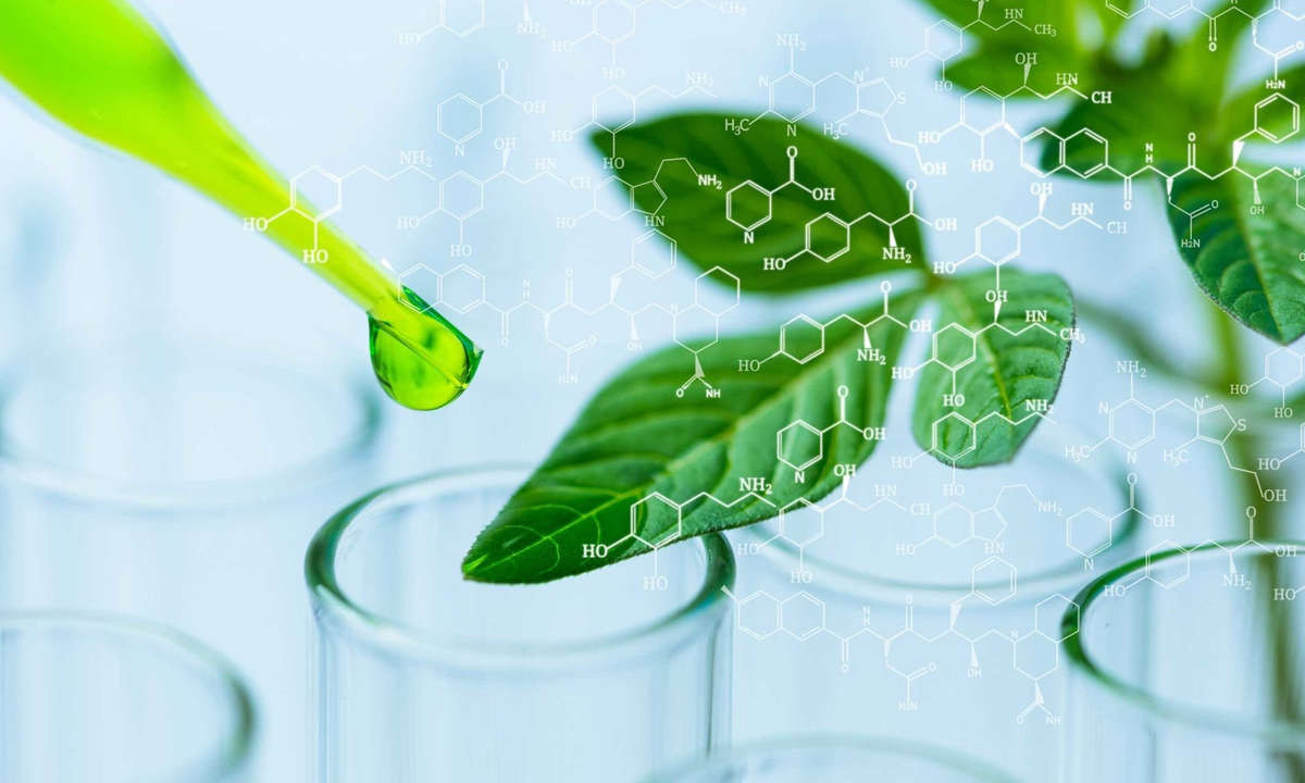 Giới thiệu về GMC