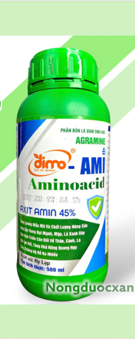 Bộ sưu tập mới