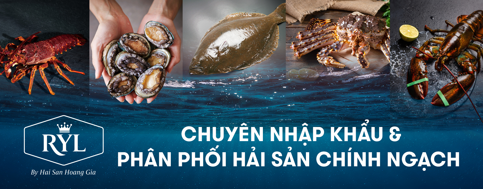 Chuyên nhập khẩu và phân phối hải sản chính ngạch