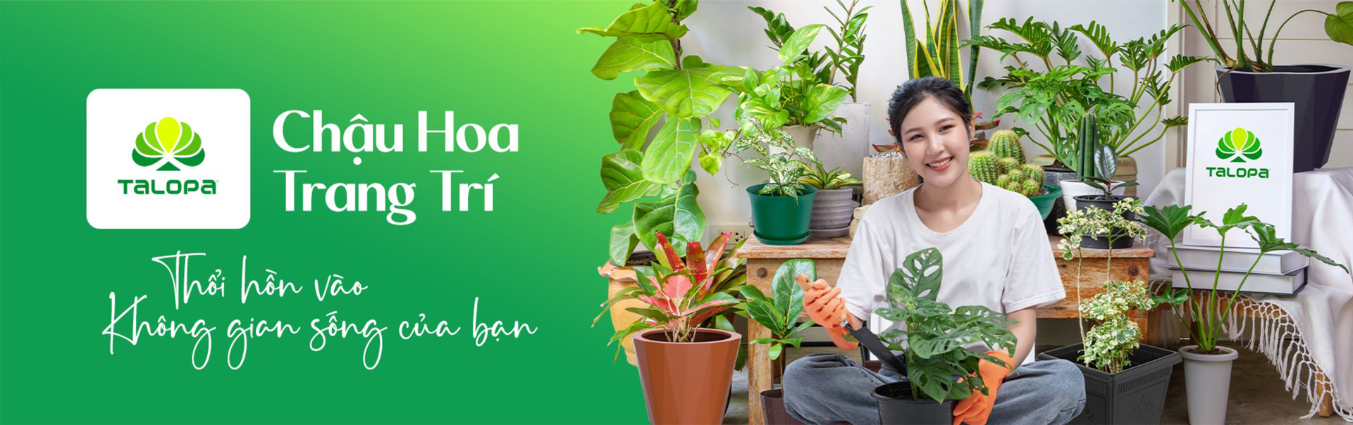 Sản phẩm kết hợp