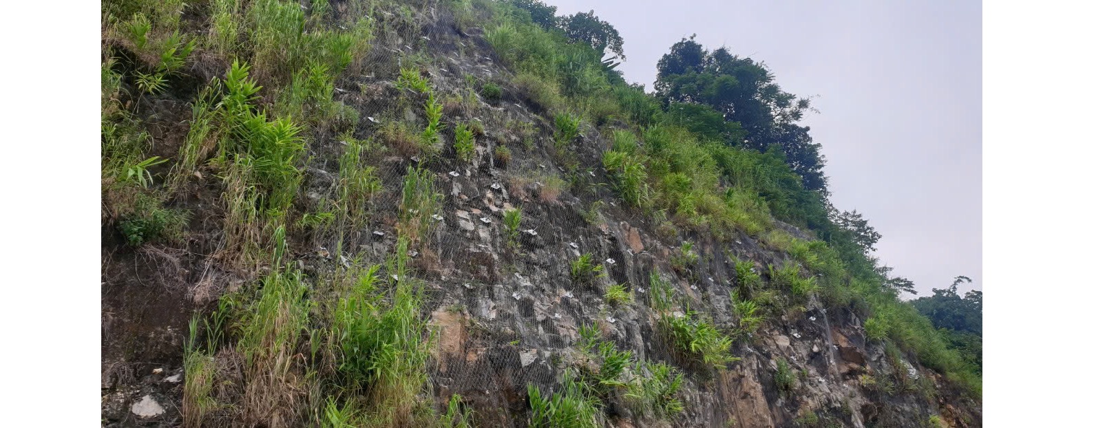 Lưới thép cường độ cao Geobrugg