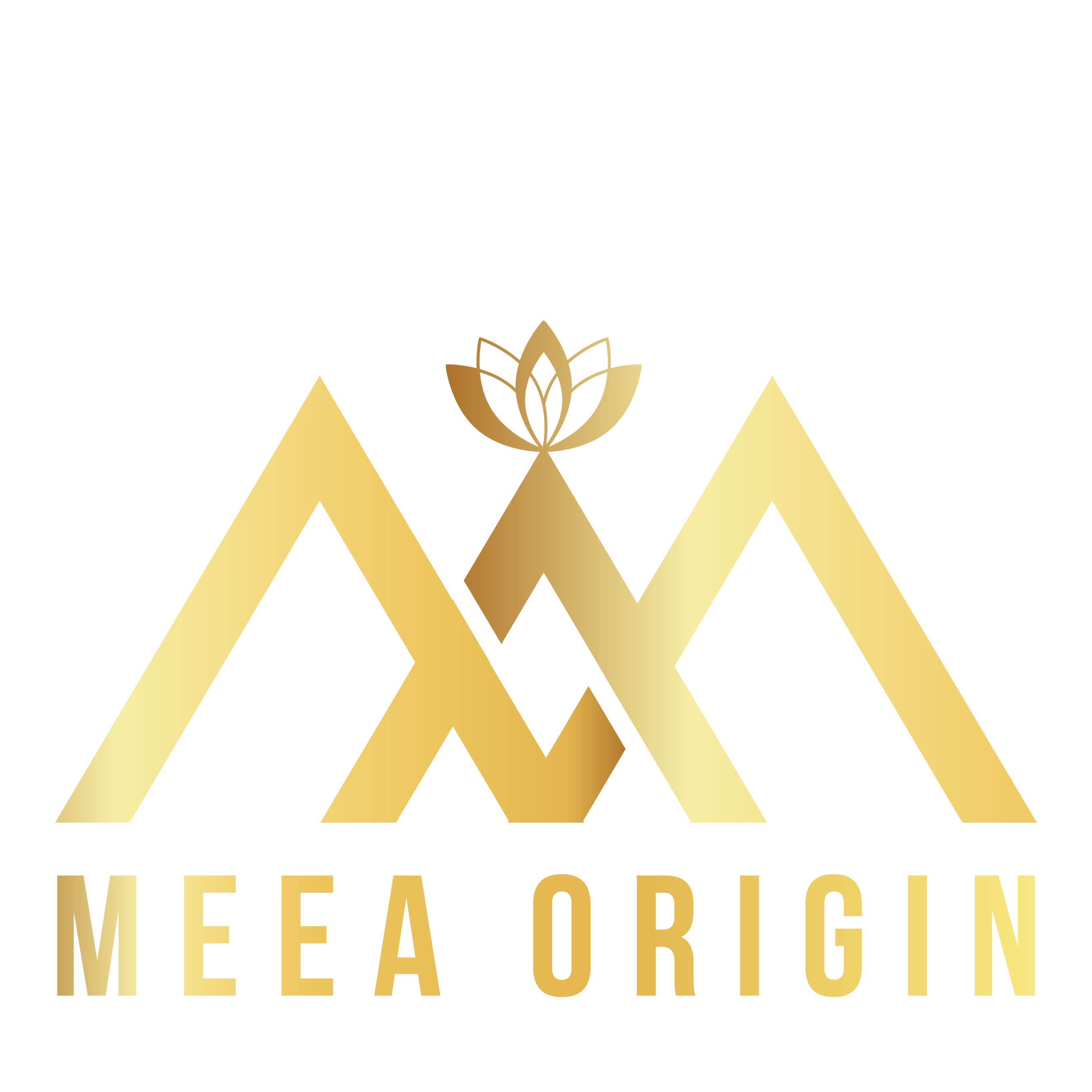 Giới thiệu – MEEA ORIGIN