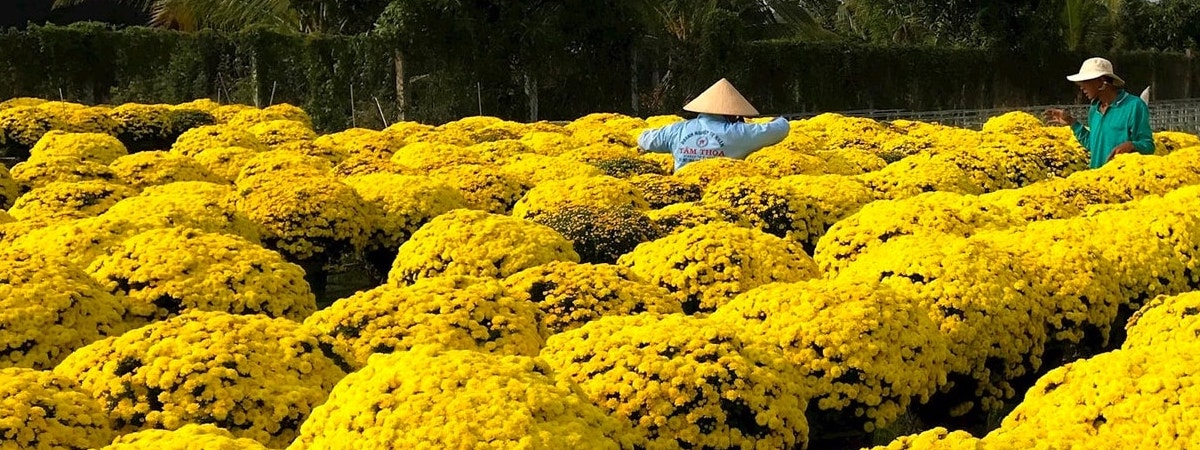 Sản phẩm khuyến mãi