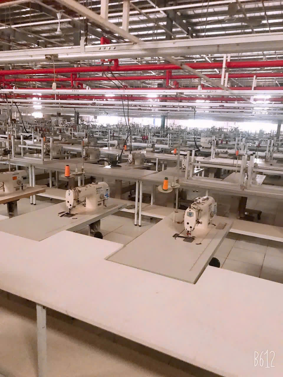 About Amigen Import/Export Company Limited