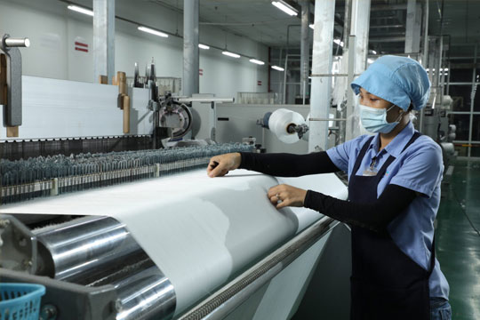 Kiểm tra & đánh giá