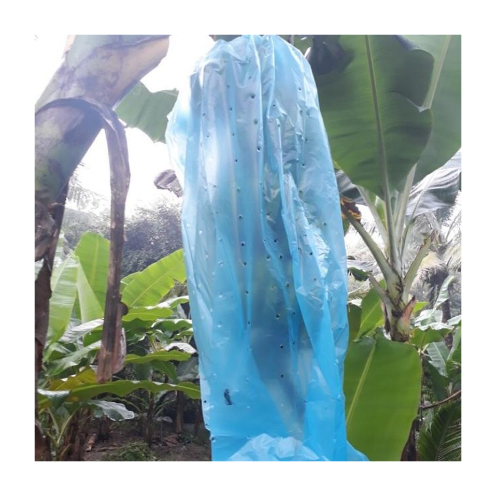 settings[project_title]